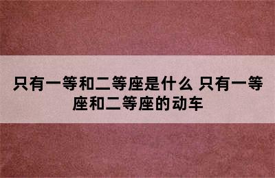 只有一等和二等座是什么 只有一等座和二等座的动车